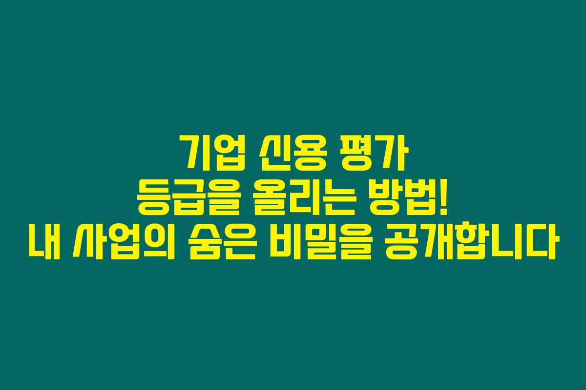 기업 신용 평가 등급을 올리는 방법! 내 사업의 숨은 비밀을 공개합니다