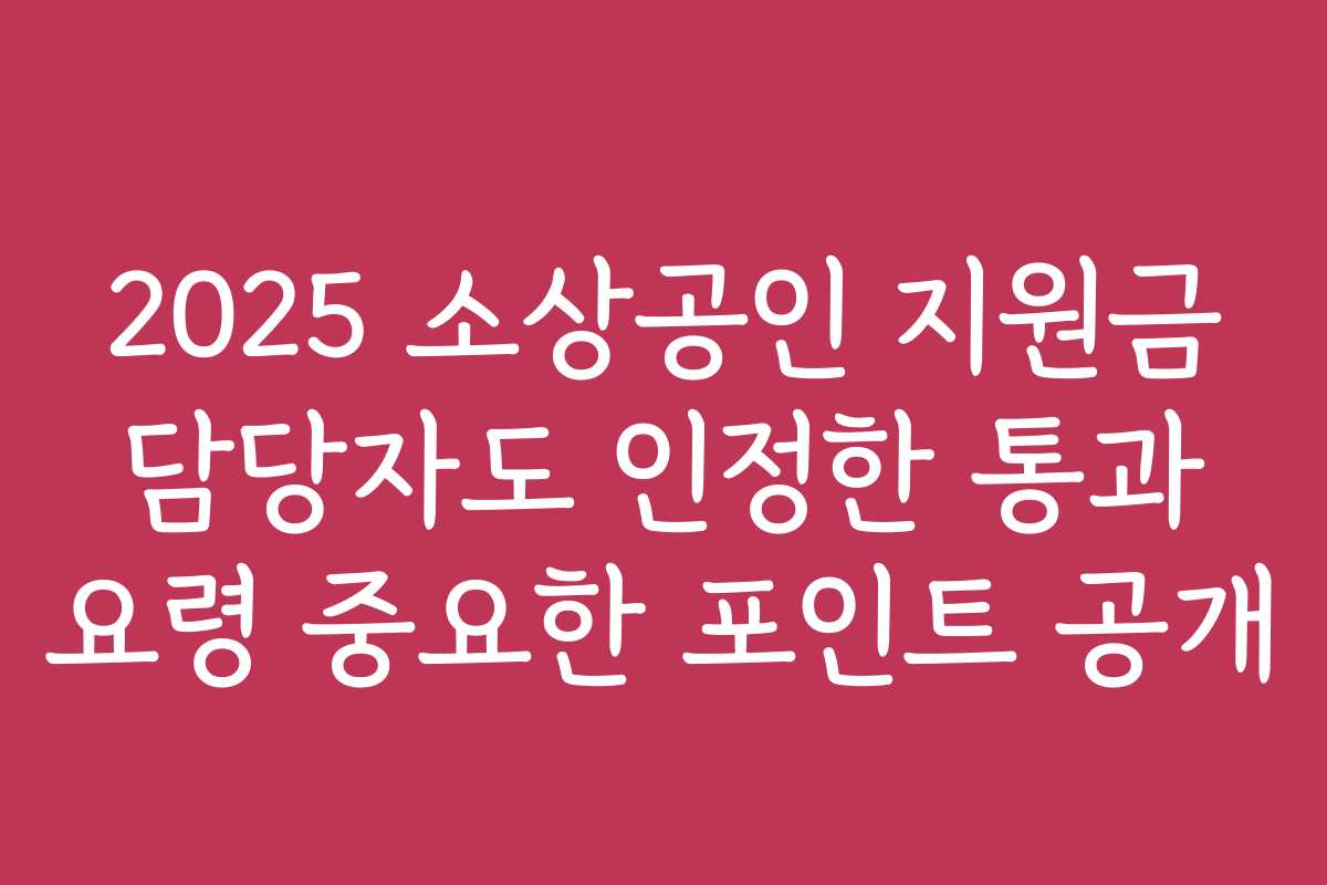 2025 소상공인 지원금 담당자도 인정한 통과 요령 중요한 포인트 공개