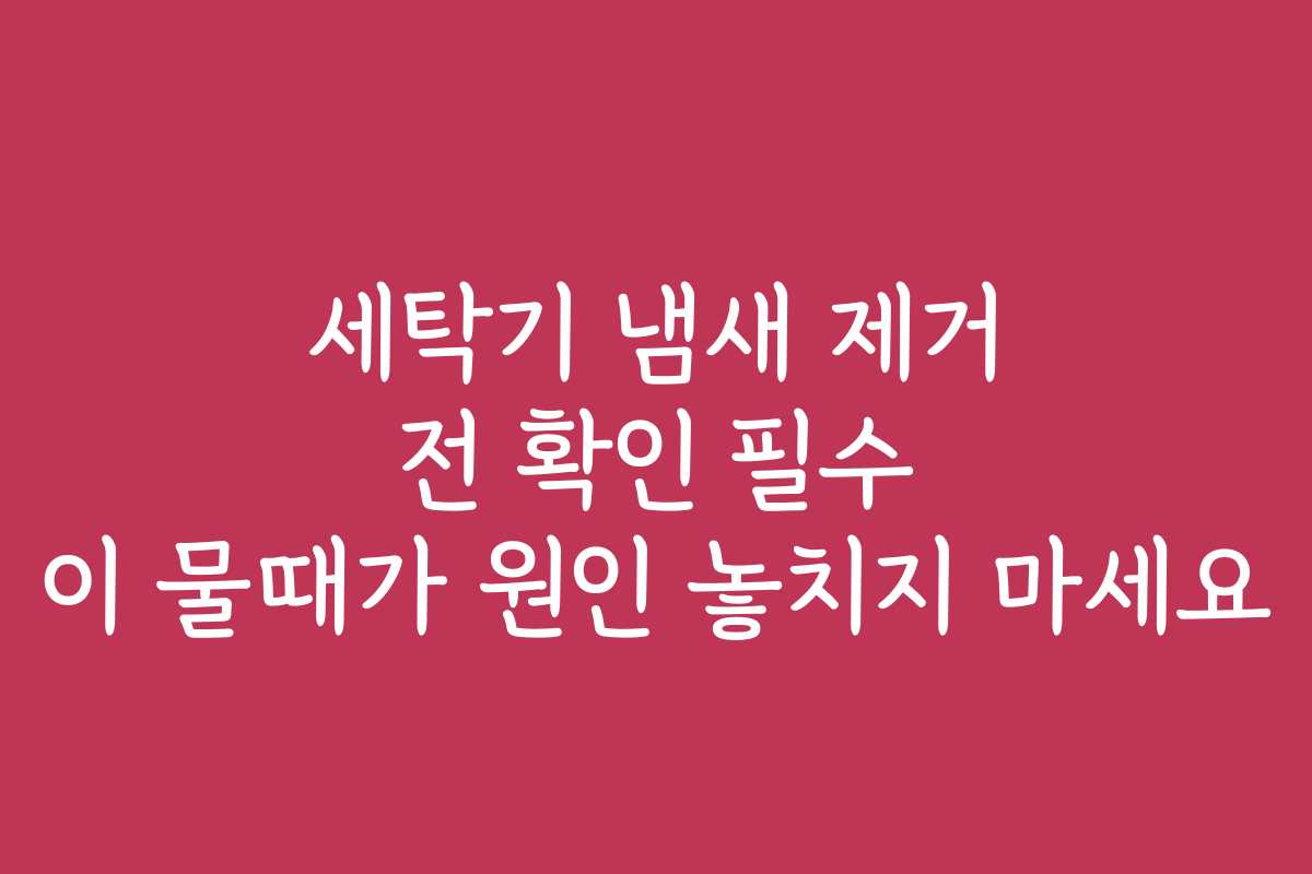 세탁기 냄새 제거 전 확인 필수 이 물때가 원인 놓치지 마세요