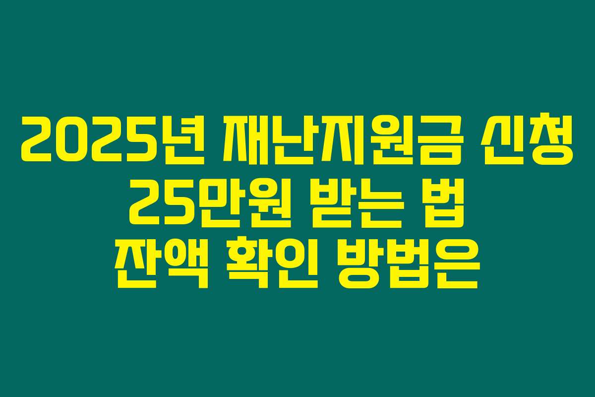 2025년 재난지원금 신청 25만원 받는 법 잔액 확인 방법은