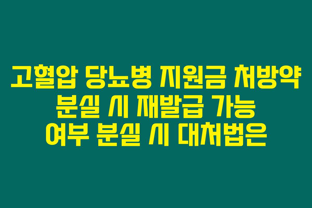 고혈압 당뇨병 지원금 처방약 분실 시 재발급 가능 여부 분실 시 대처법은