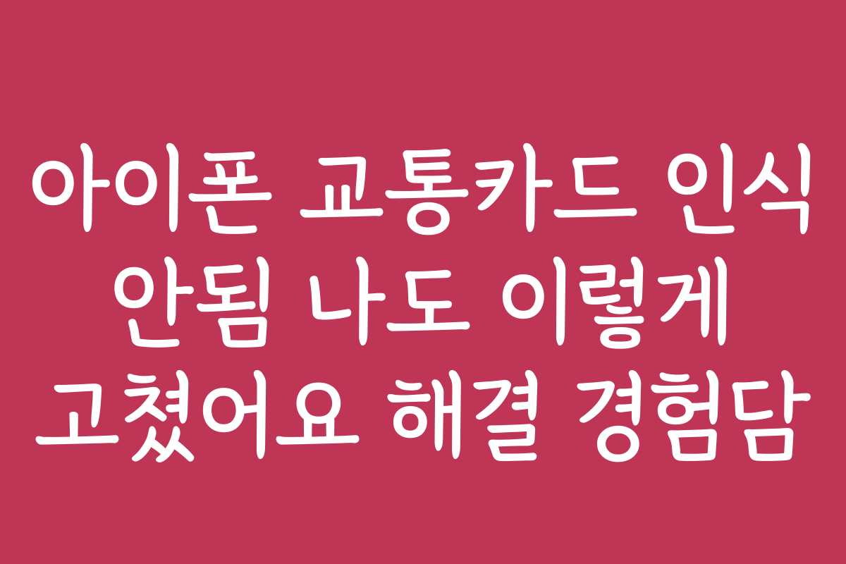 아이폰 교통카드 인식 안됨 나도 이렇게 고쳤어요 해결 경험담