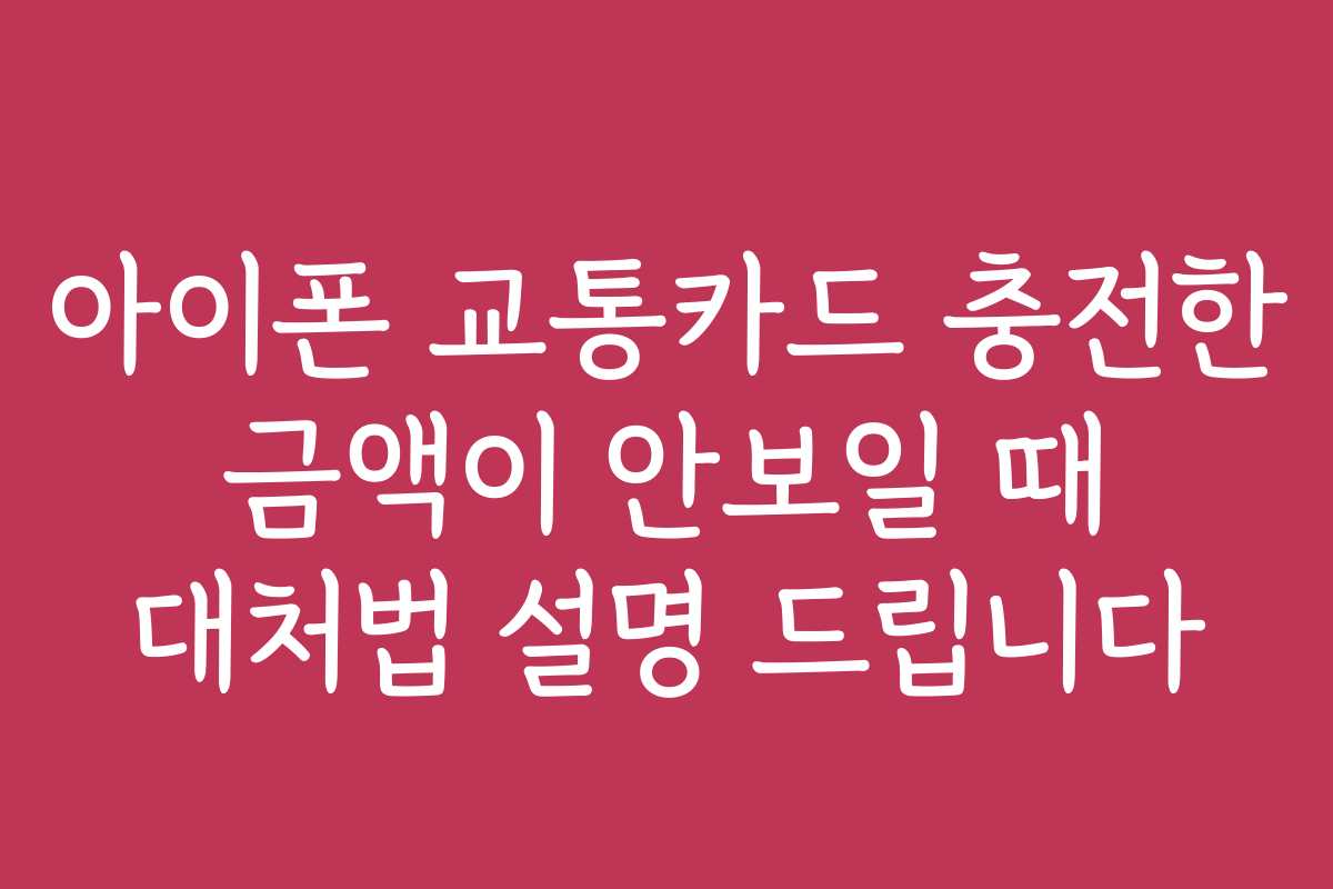 아이폰 교통카드 충전한 금액이 안보일 때 대처법 설명 드립니다