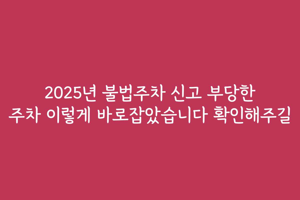 2025년 불법주차 신고 부당한 주차 이렇게 바로잡았습니다 확인해주길