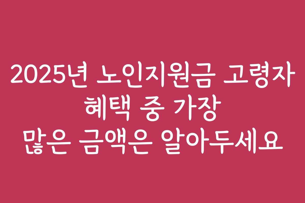 2025년 노인지원금 고령자 혜택 중 가장 많은 금액은 알아두세요