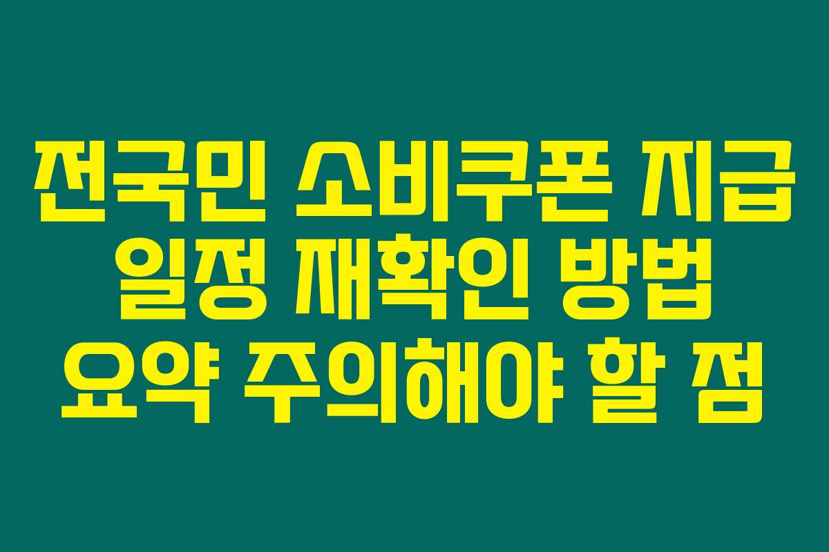 전국민 소비쿠폰 지급 일정 재확인 방법 요약 주의해야 할 점