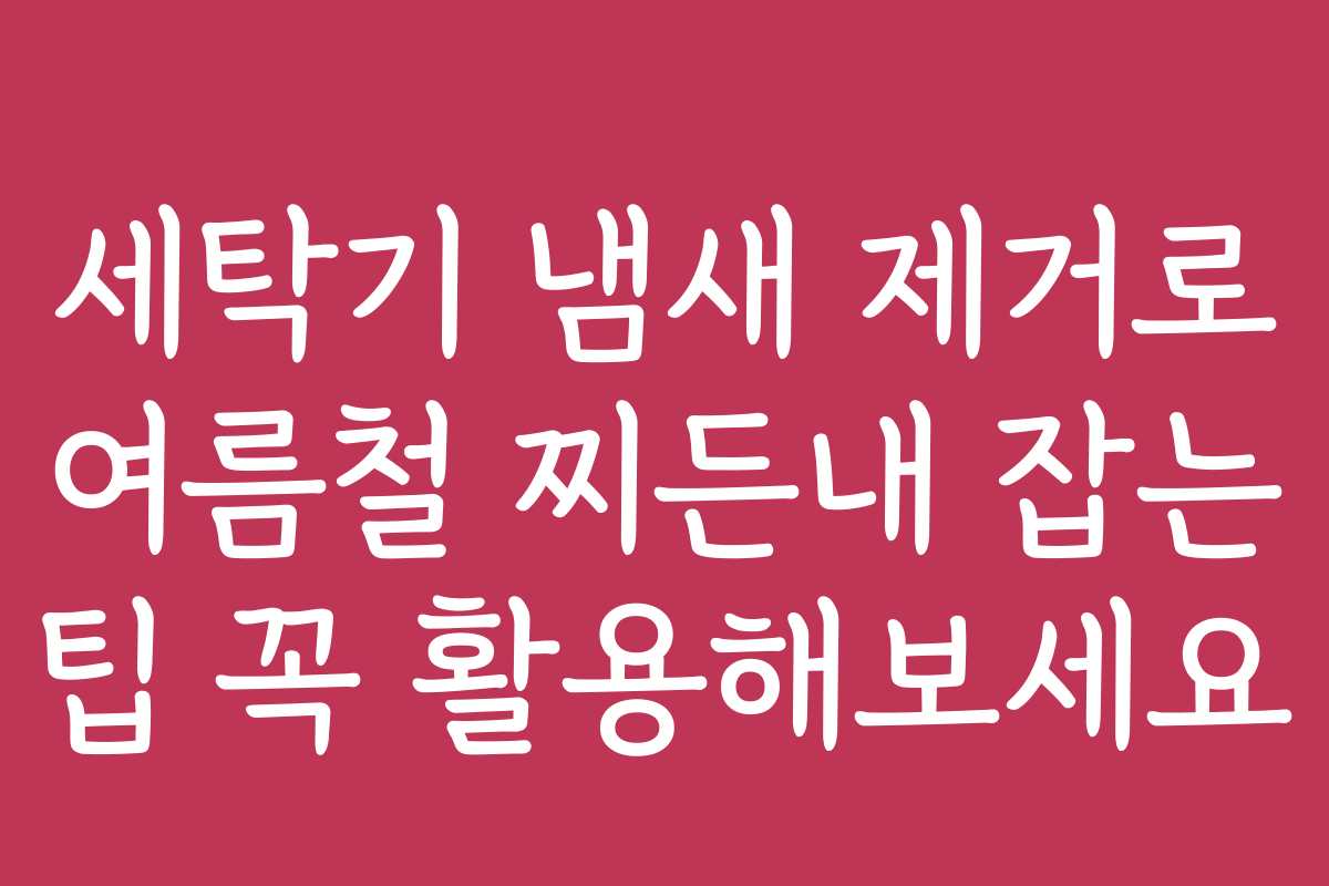 세탁기 냄새 제거로 여름철 찌든내 잡는 팁 꼭 활용해보세요