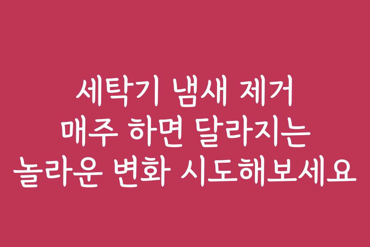 세탁기 냄새 제거 매주 하면 달라지는 놀라운 변화 시도해보세요