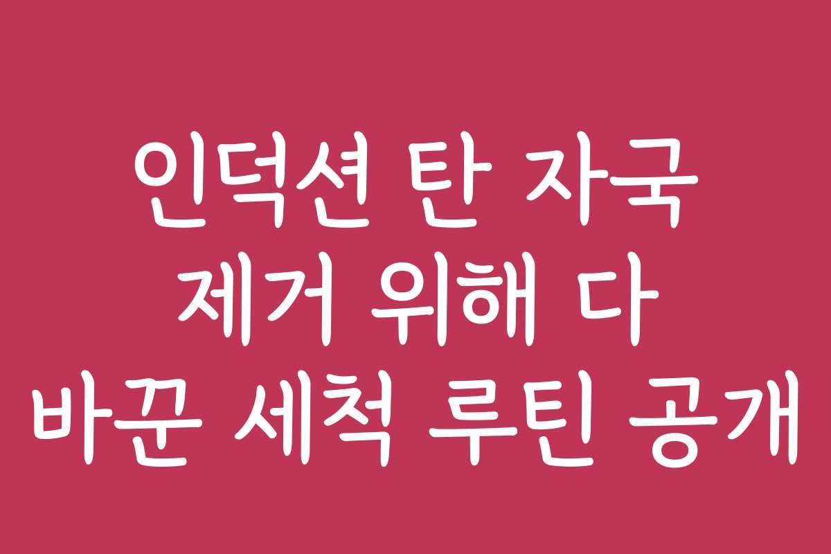 인덕션 탄 자국 제거 위해 다 바꾼 세척 루틴 공개