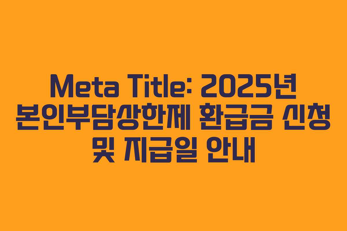 Meta Title: 2025년 본인부담상한제 환급금 신청 및 지급일 안내