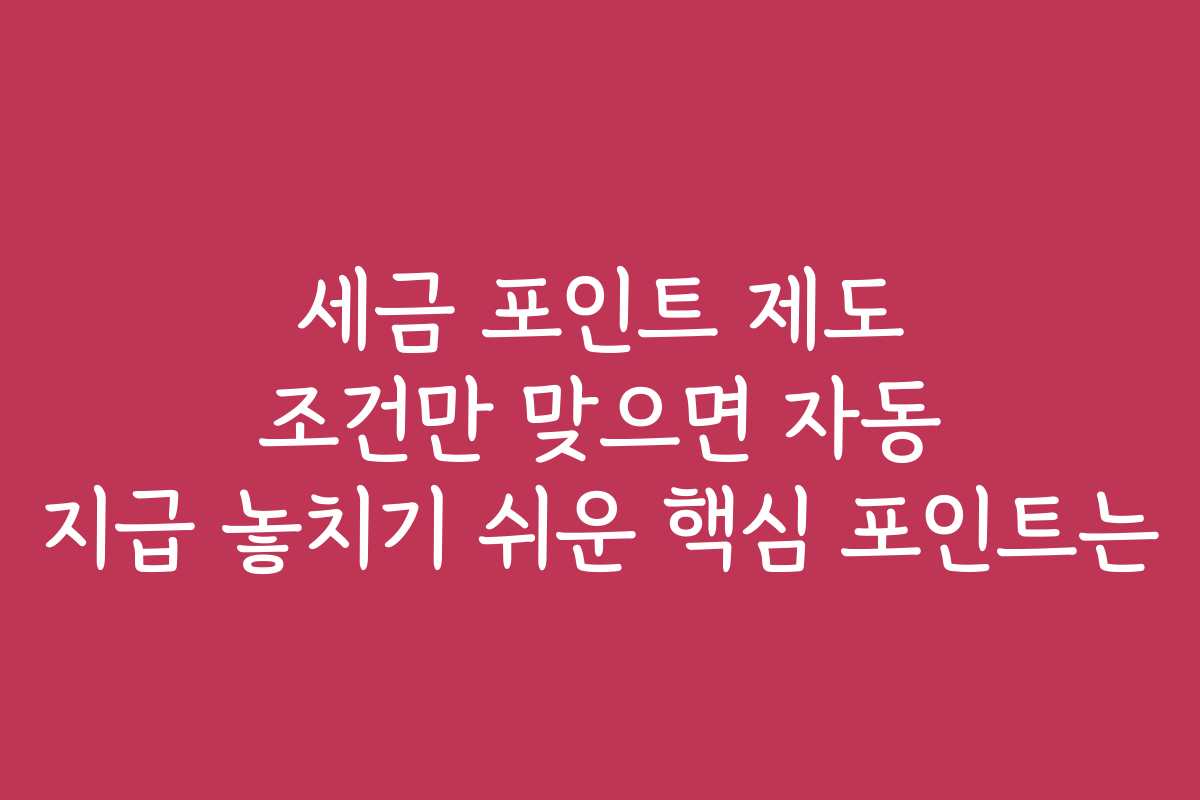 세금 포인트 제도 조건만 맞으면 자동 지급 놓치기 쉬운 핵심 포인트는