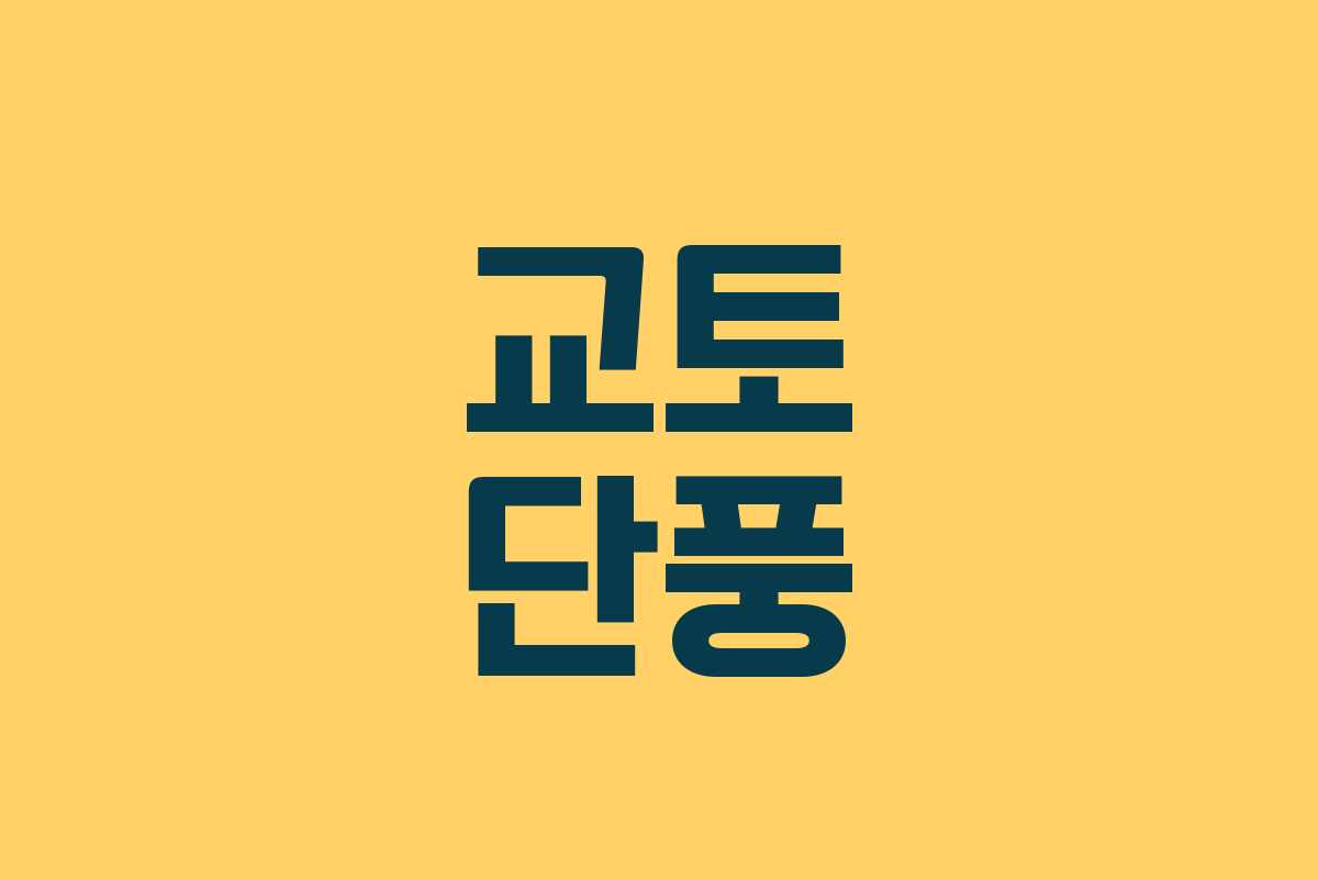 교토 단풍