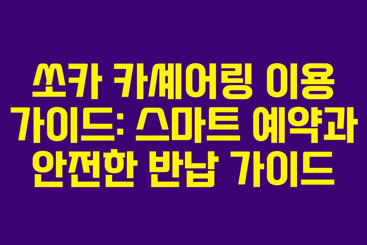 쏘카 카셰어링 이용 가이드: 스마트 예약과 안전한 반납 가이드