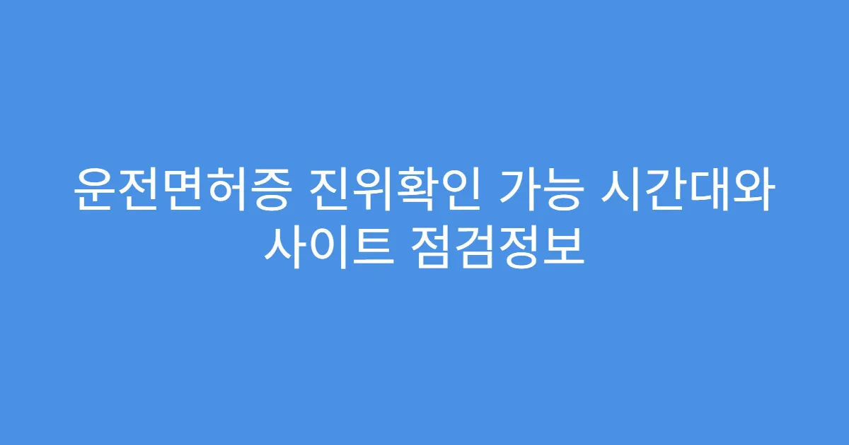 운전면허증 진위확인 가능 시간대와 사이트 점검정보