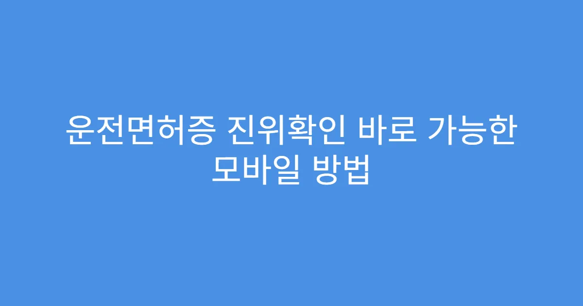 운전면허증 진위확인 바로 가능한 모바일 방법