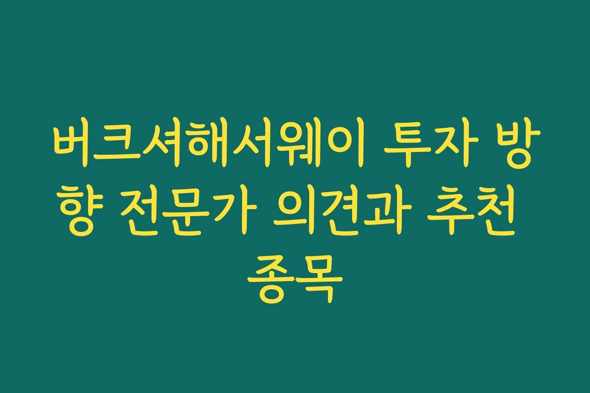 버크셔해서웨이 투자 방향 전문가 의견과 추천 종목
