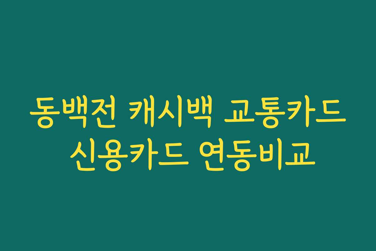 동백전 캐시백 교통카드 신용카드 연동비교 동백전 캐시백 교통카드 신용카드 연동비교