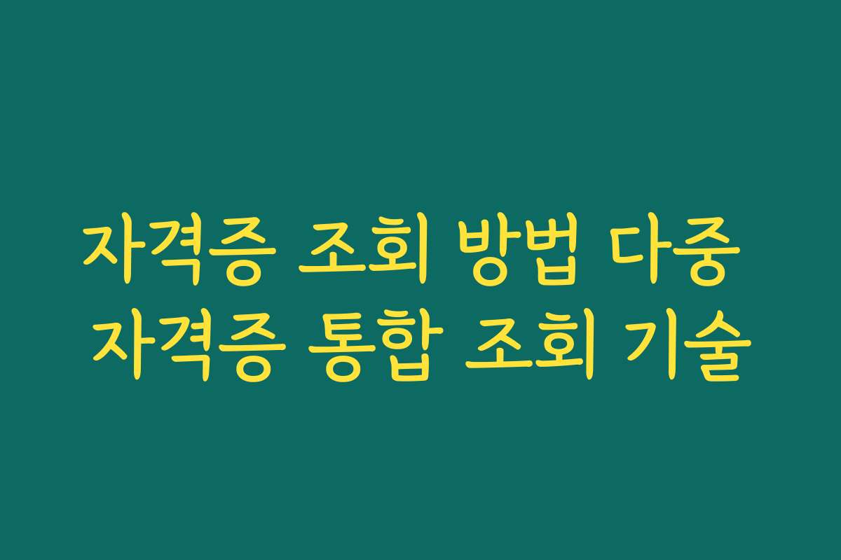 자격증 조회 방법 다중 자격증 통합 조회 기술 자격증 조회 방법 다중 자격증 통합 조회 기술