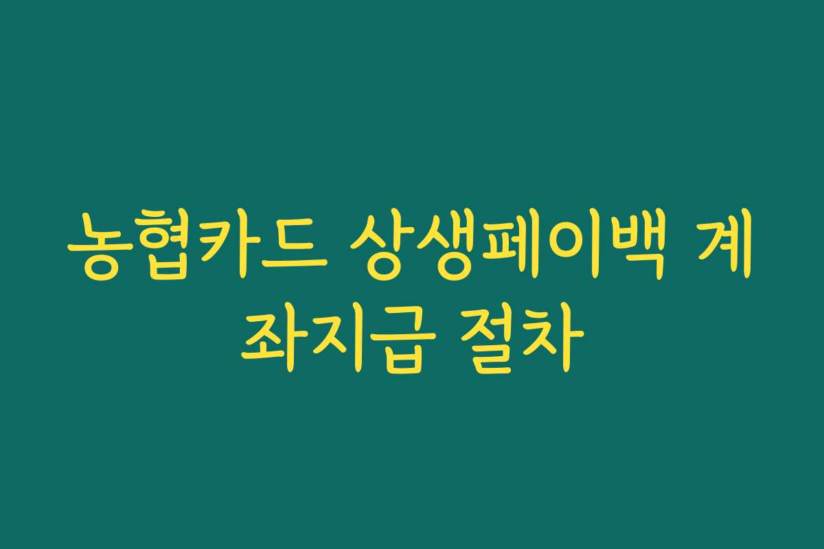 농협카드 상생페이백 계좌지급 절차 농협카드 상생페이백 계좌지급 절차