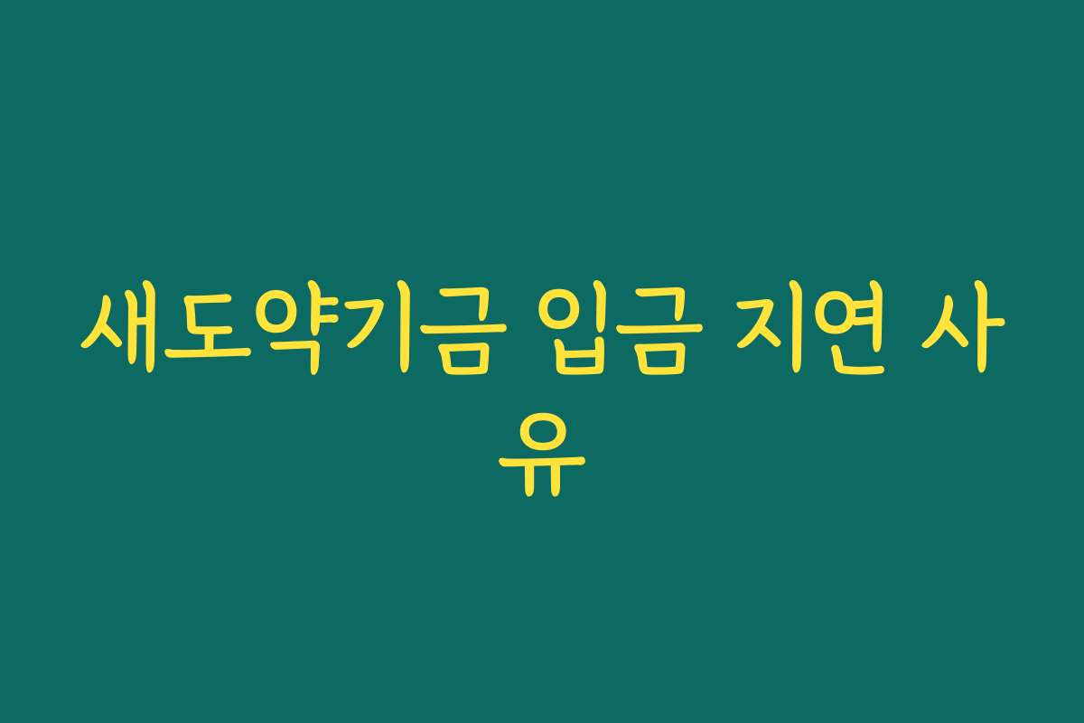 새도약기금 입금 지연 사유