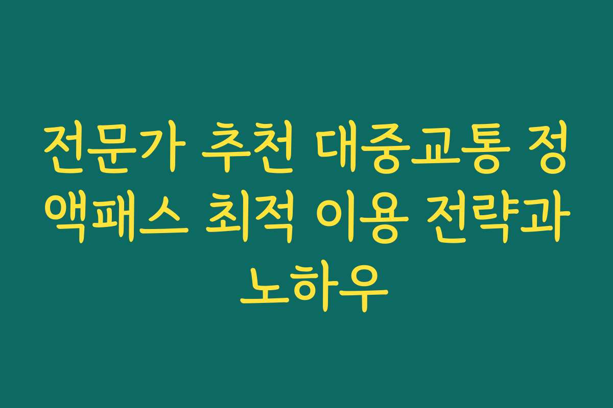 전문가 추천 대중교통 정액패스 최적 이용 전략과 노하우