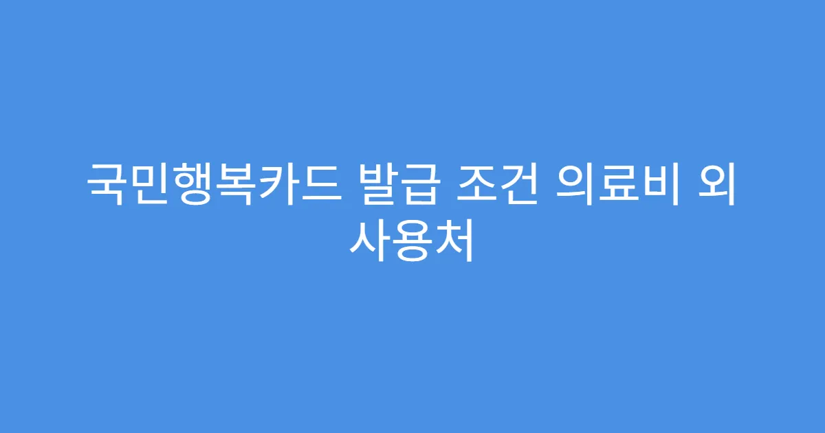 국민행복카드 발급 조건 의료비 외 사용처 국민행복카드 발급 조건 의료비 외 사용처