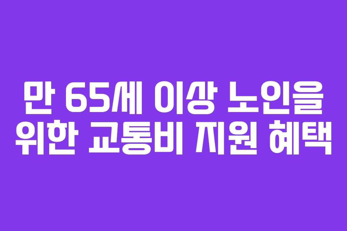 만 65세 이상 노인을 위한 교통비 지원 혜택 만 65세 이상 노인을 위한 교통비 지원 혜택