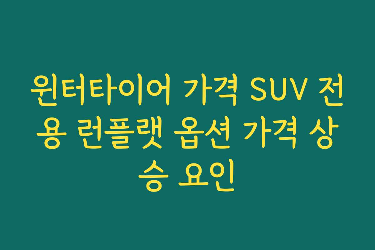 윈터타이어 가격 SUV 전용 런플랫 옵션 가격 상승 요인