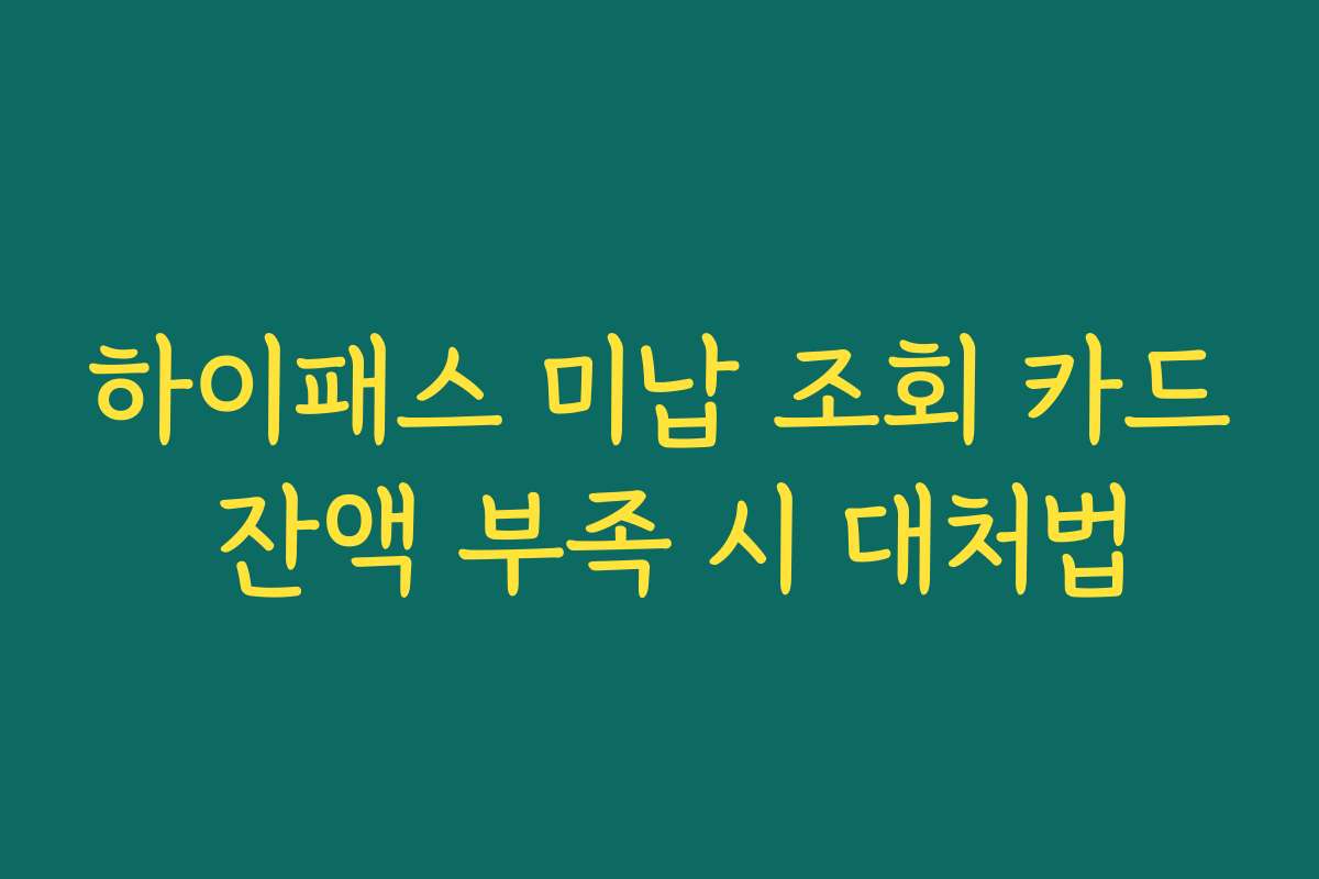 하이패스 미납 조회 카드 잔액 부족 시 대처법