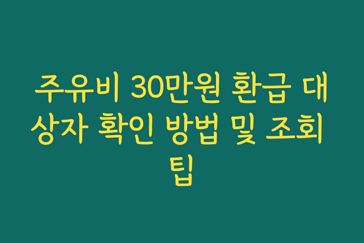 주유비 30만원 환급 대상자 확인 방법 및 조회 팁