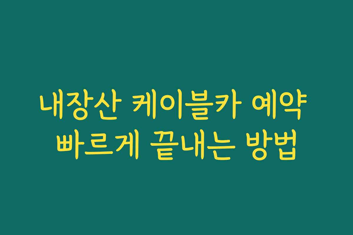 내장산 케이블카 예약 빠르게 끝내는 방법