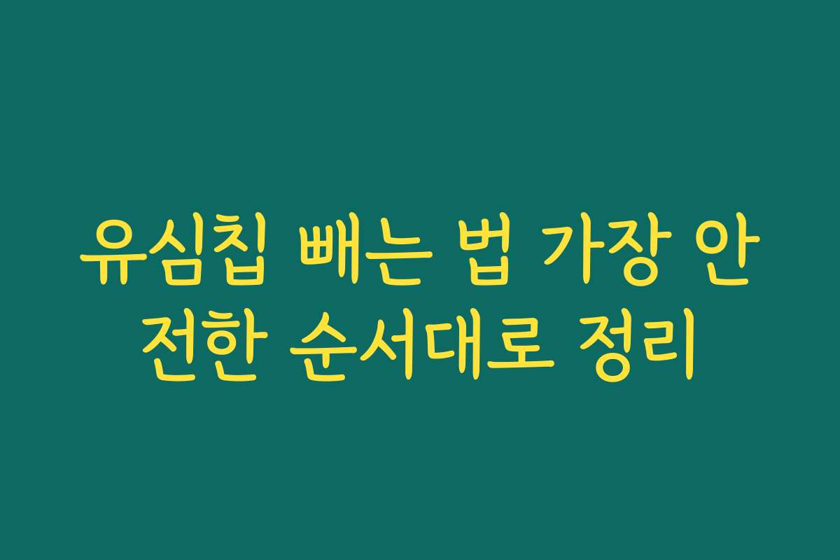 유심칩 빼는 법 가장 안전한 순서대로 정리