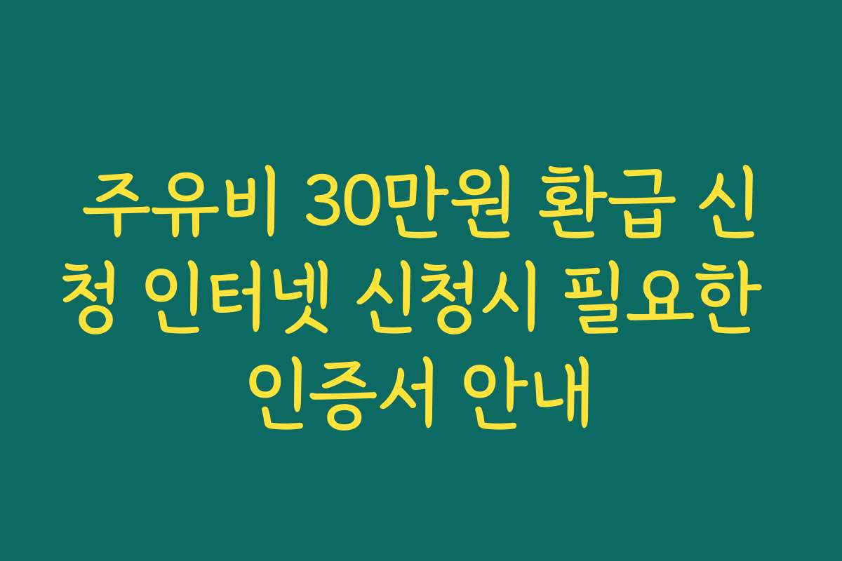 주유비 30만원 환급 신청 인터넷 신청시 필요한 인증서 안내