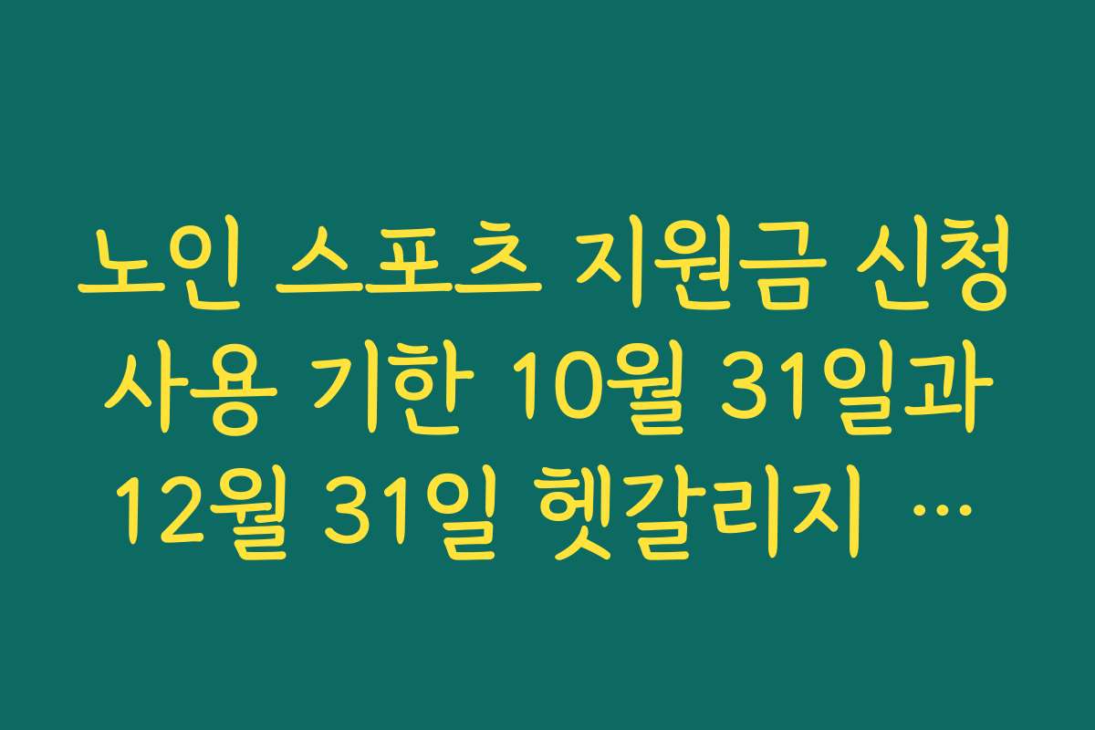 노인 스포츠 지원금 신청 사용 기한 10월 31일과 12월 31일 헷갈리지 않게 확인하기