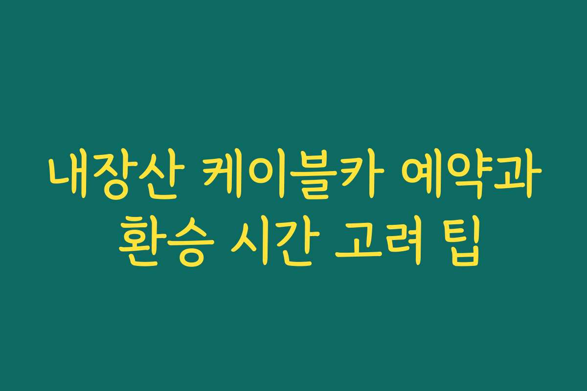 내장산 케이블카 예약과 환승 시간 고려 팁