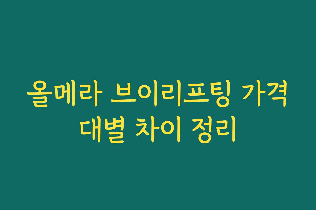 올메라 브이리프팅 가격대별 차이 정리