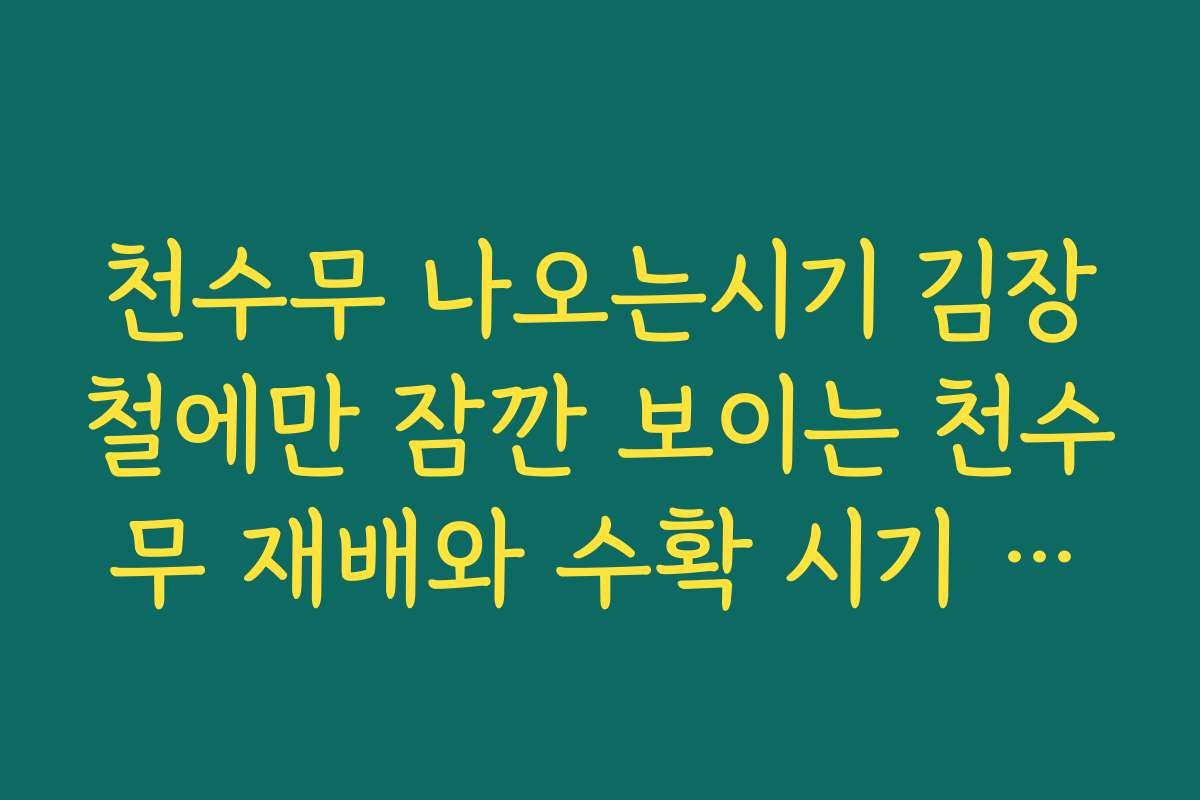 천수무 나오는시기 김장철에만 잠깐 보이는 천수무 재배와 수확 시기 정리