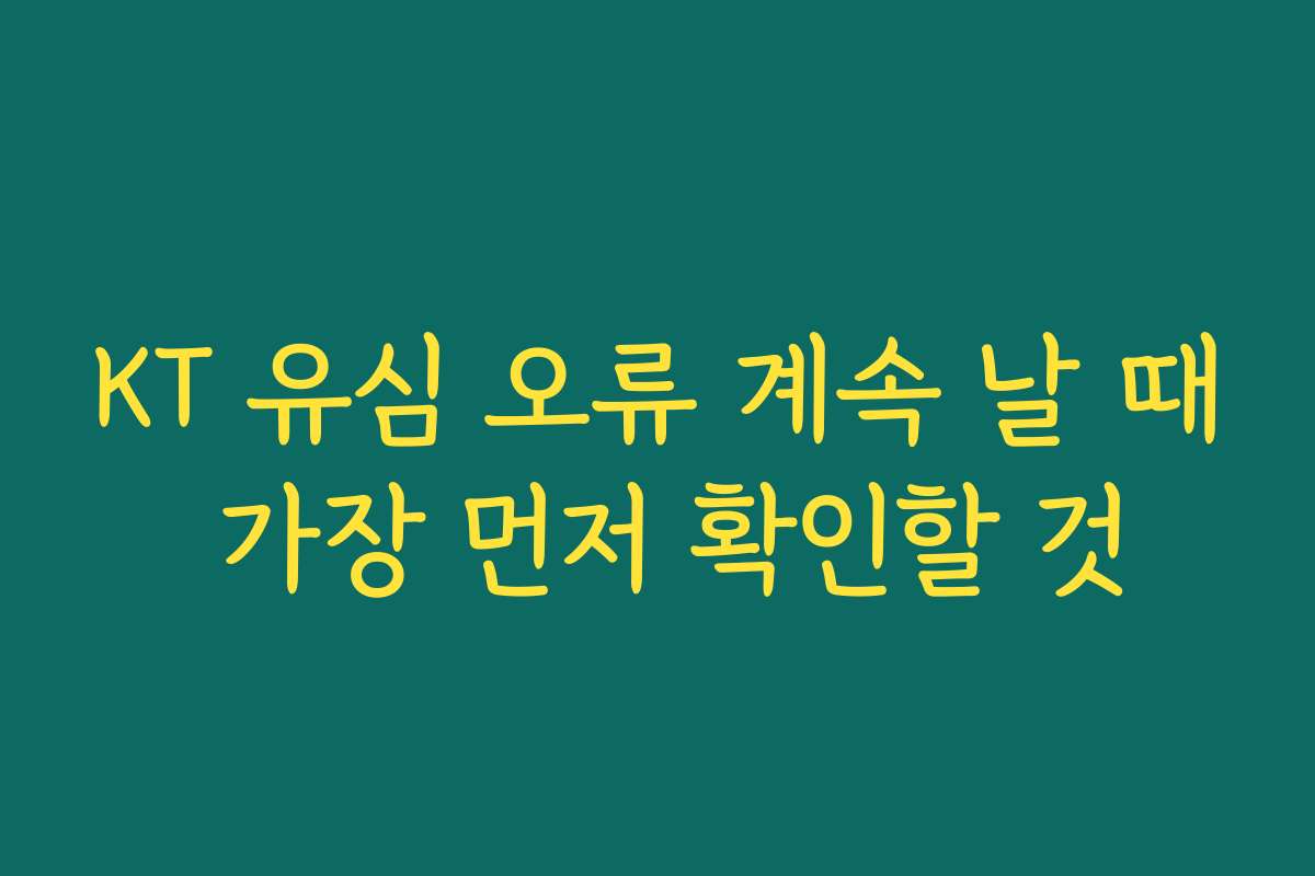 KT 유심 오류 계속 날 때 가장 먼저 확인할 것