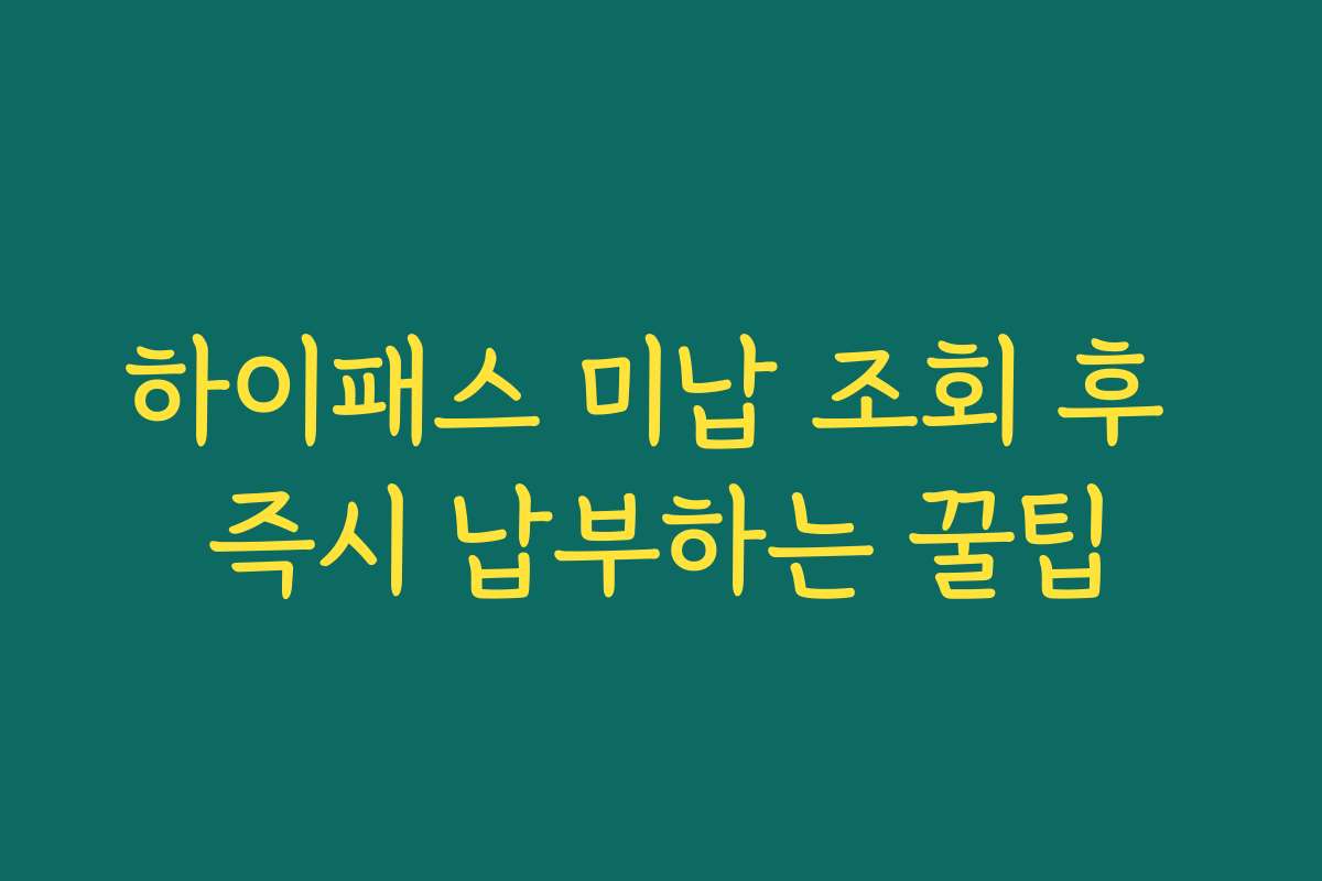 하이패스 미납 조회 후 즉시 납부하는 꿀팁