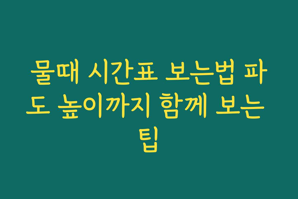 물때 시간표 보는법 파도 높이까지 함께 보는 팁