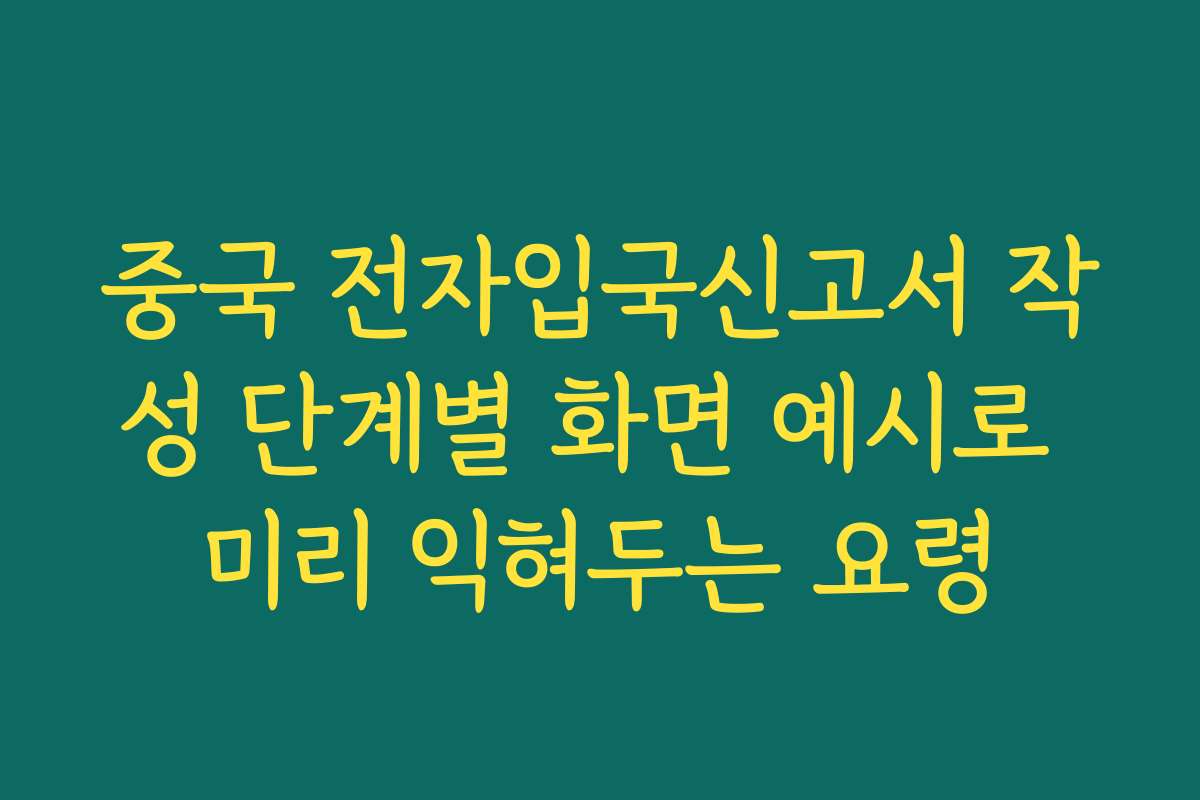 중국 전자입국신고서 작성 단계별 화면 예시로 미리 익혀두는 요령