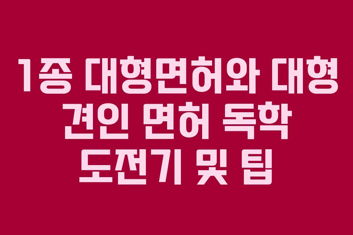 1종 대형면허와 대형 견인 면허 독학 도전기 및 팁