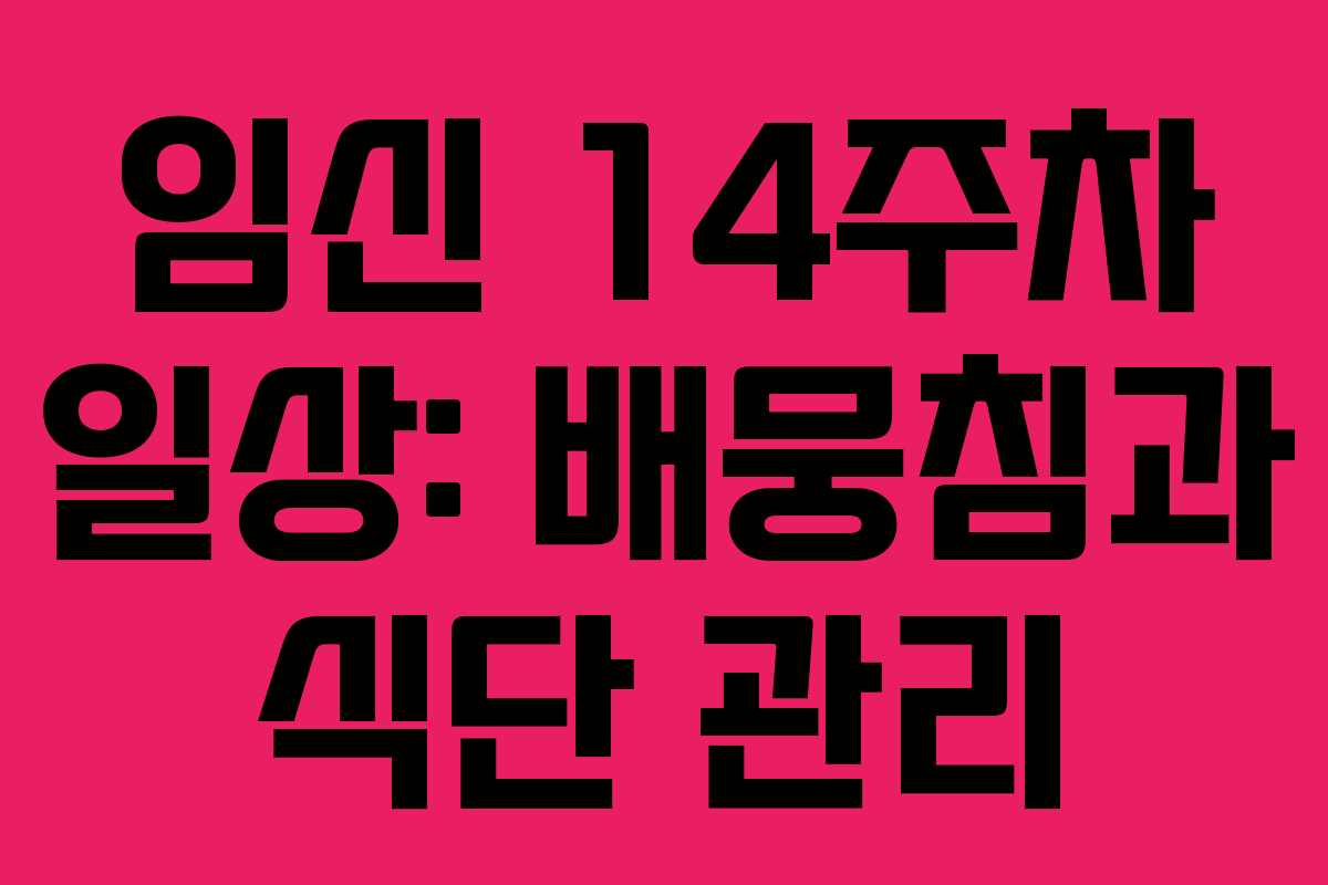 임신 14주차 일상: 배뭉침과 식단 관리