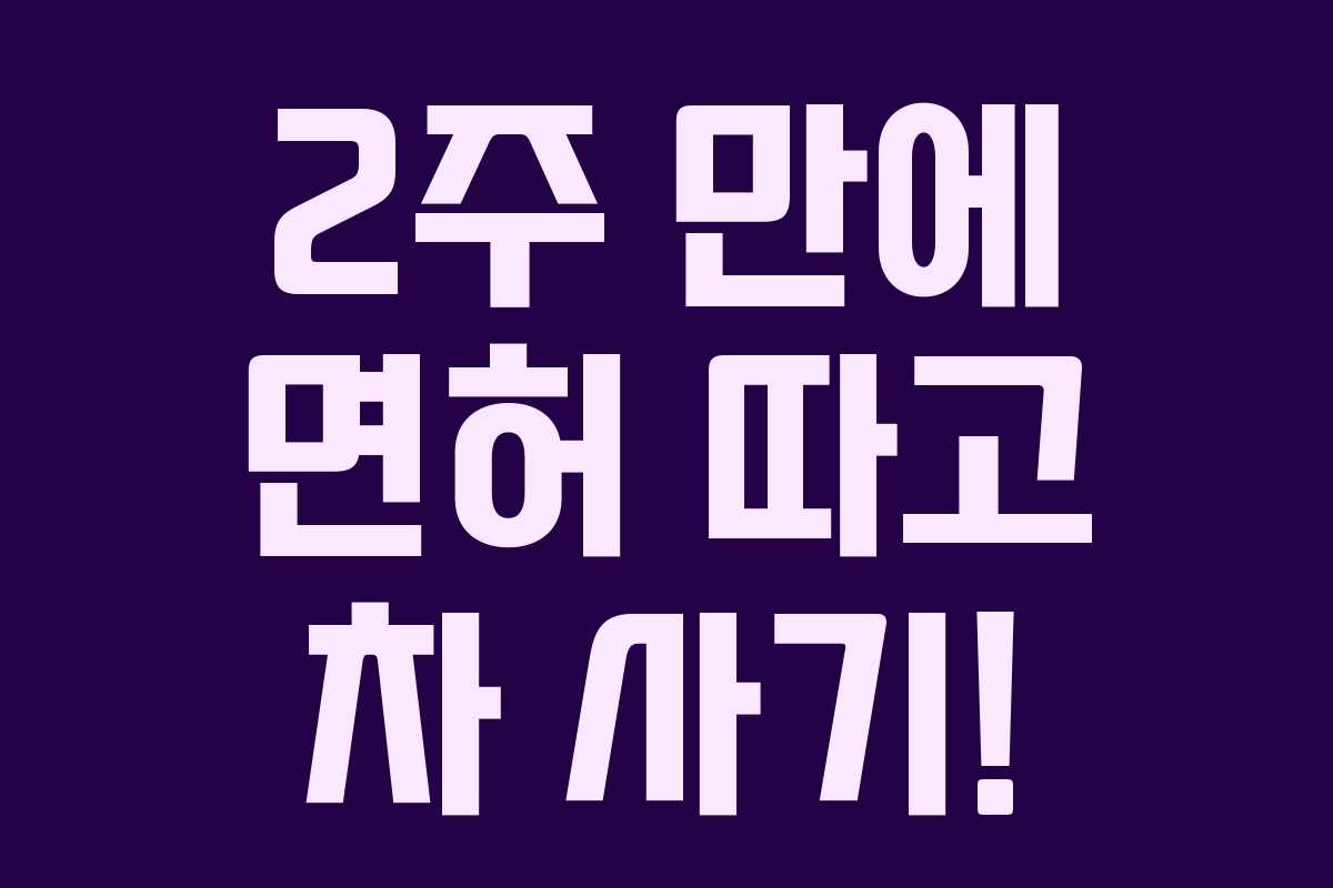 2주 만에 면허 따고 차 사기!