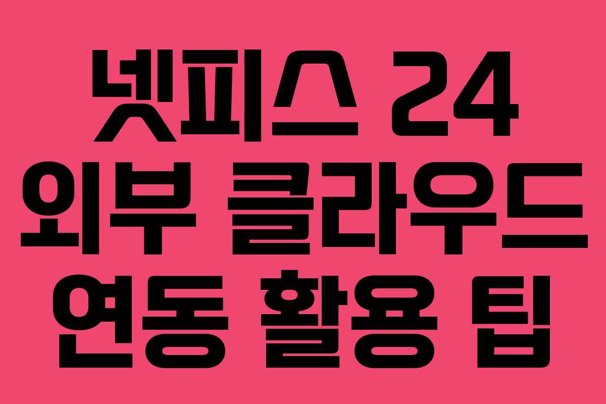 넷피스 24 외부 클라우드 연동 활용 팁