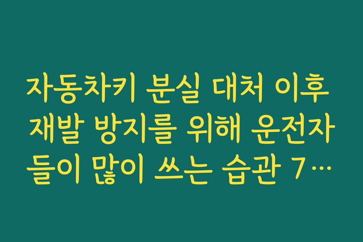 자동차키 분실 대처 이후 재발 방지를 위해 운전자들이 많이 쓰는 습관 7가지