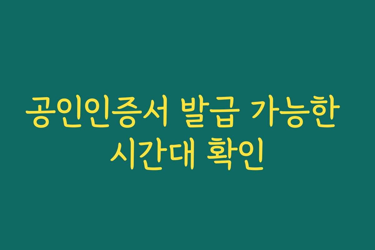 공인인증서 발급 가능한 시간대 확인