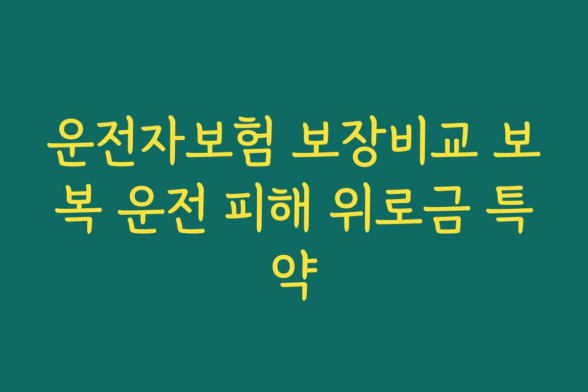 운전자보험 보장비교 보복 운전 피해 위로금 특약