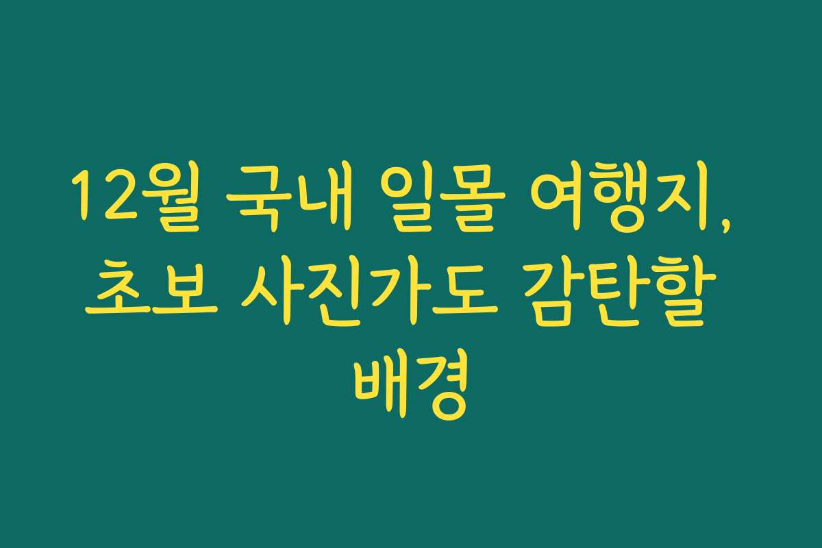 12월 국내 일몰 여행지, 초보 사진가도 감탄할 배경