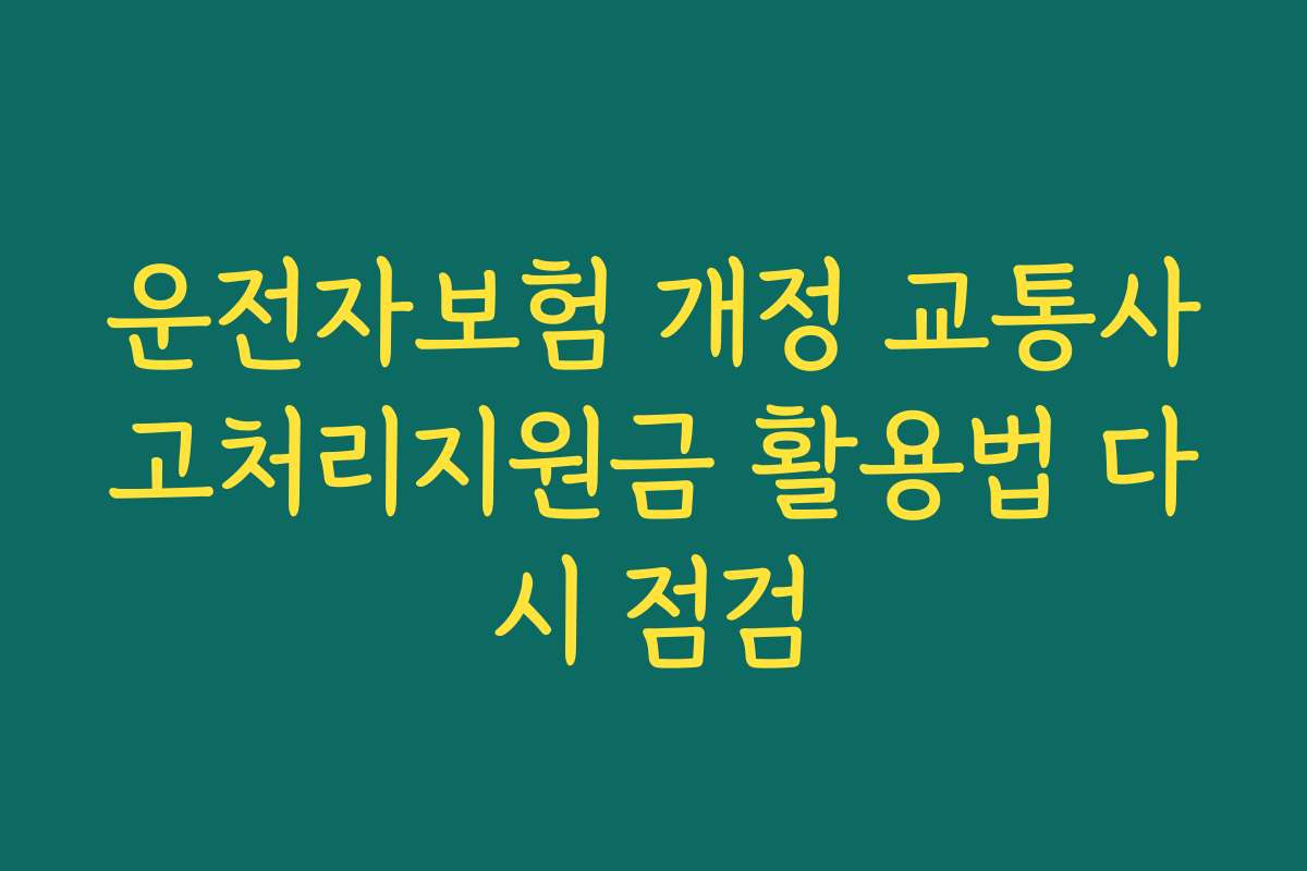 운전자보험 개정 교통사고처리지원금 활용법 다시 점검